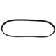 Correia com perfil Poly-V - Dayco - Fiat Palio Hatch ELX 1.0 mpi 2P de 1998 at 2000 - Palio/Siena/Uno 1.0 8V 1996 at 2000 - GIR/ACD - cada (unidade) - 4PK0756