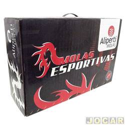 Mola de suspenso - Fama (antiga Aliperti) - <b>Renault Clio Hatch Expression 1.0 16V Hi-Flex 2P de 2005 at 2007</b> - Clio hatch/sedan 1.0 2000 em diante - Esportiva - jogo - AL-8631